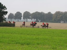 img_5948_web